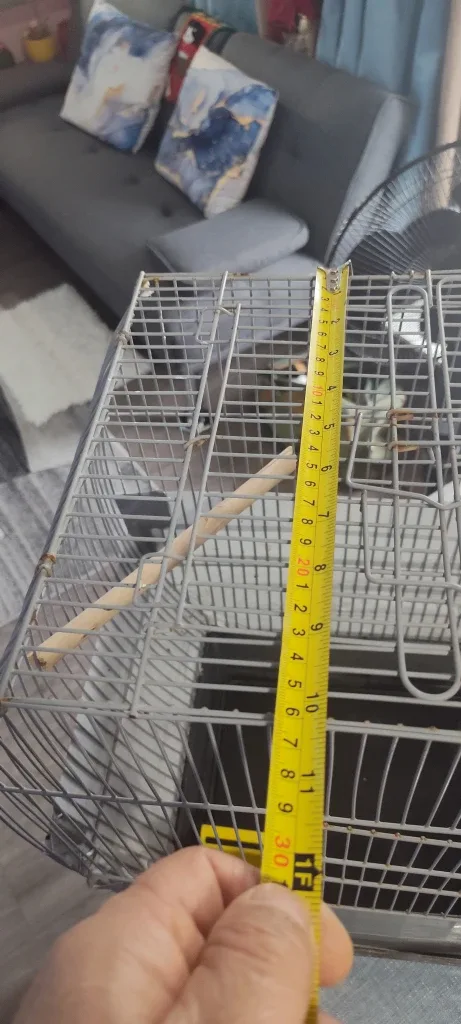 Bird Cage - Good Condition image indicator(6)