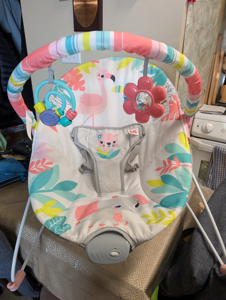 Bright Starts Baby Bouncer