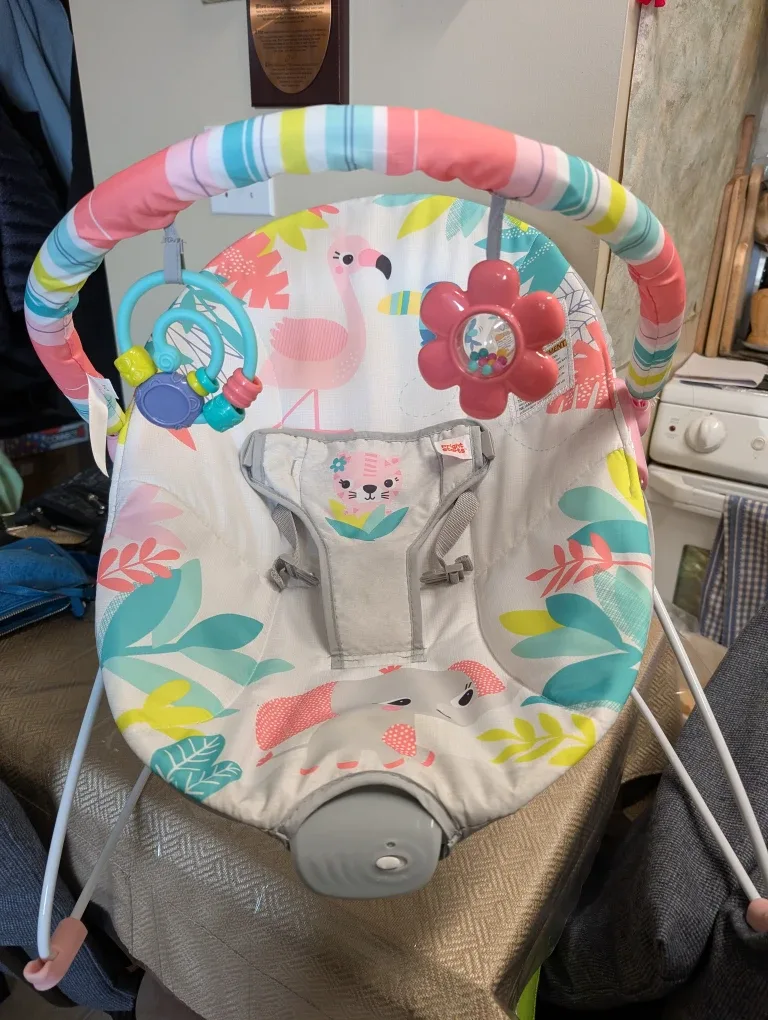 Bright Starts Baby Bouncer
