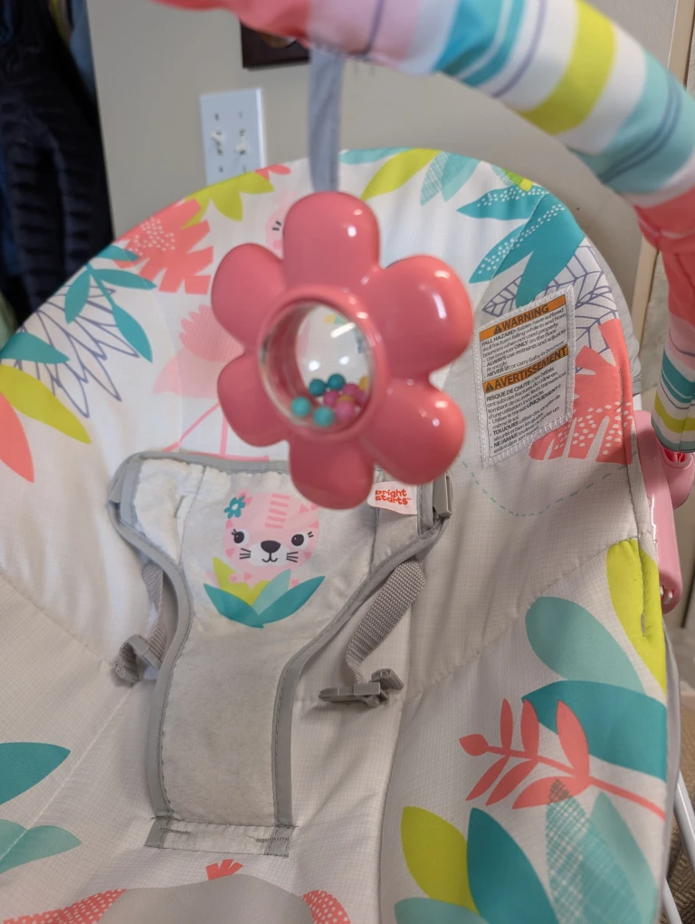 Bright Starts Baby Bouncer - photo 2