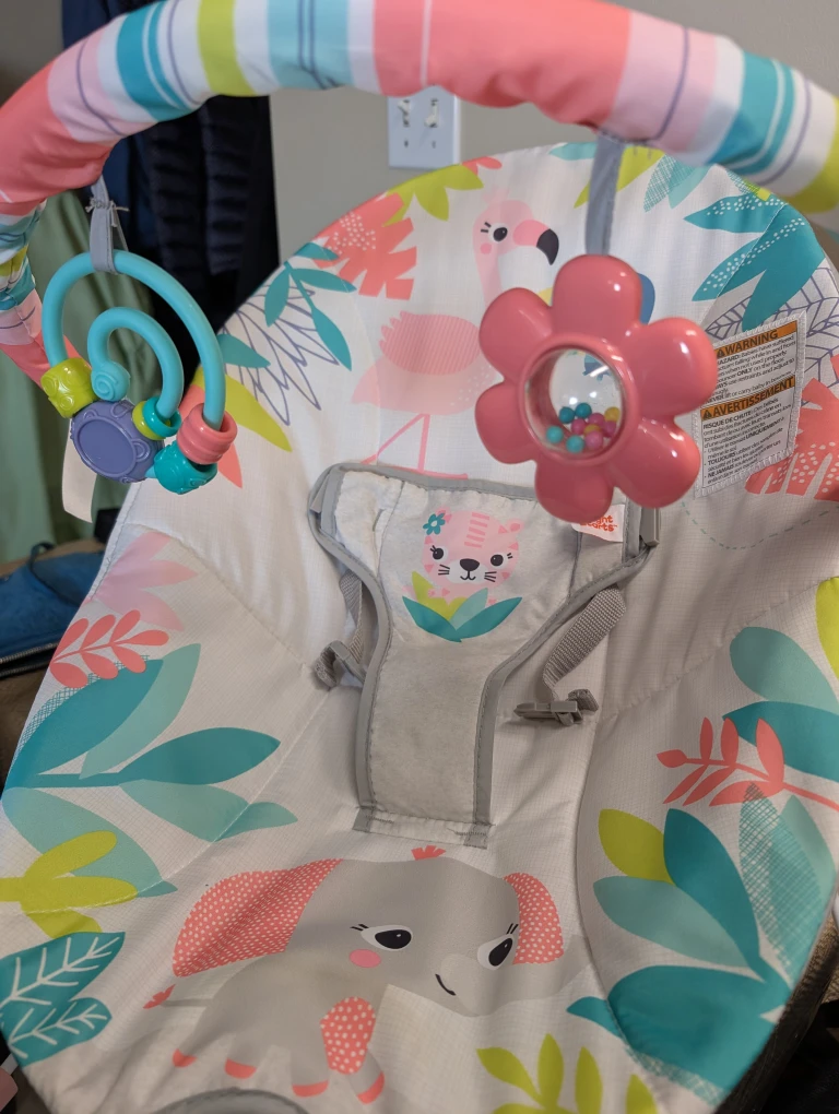 Bright Starts Baby Bouncer - photo 3