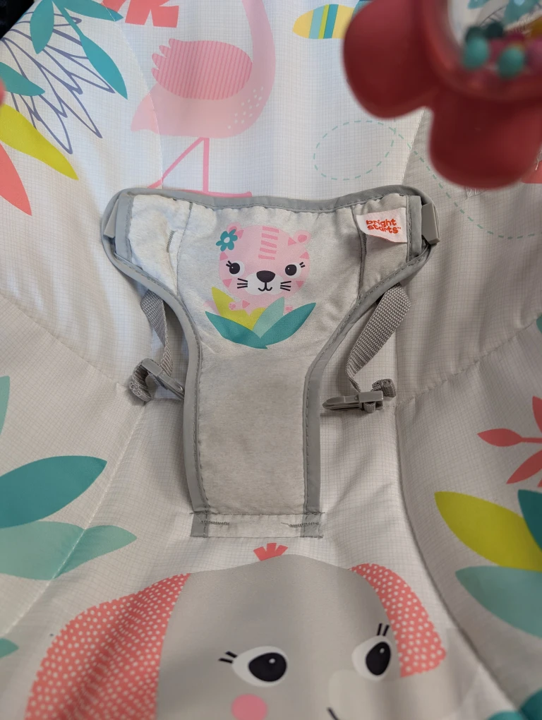Bright Starts Baby Bouncer - photo 4