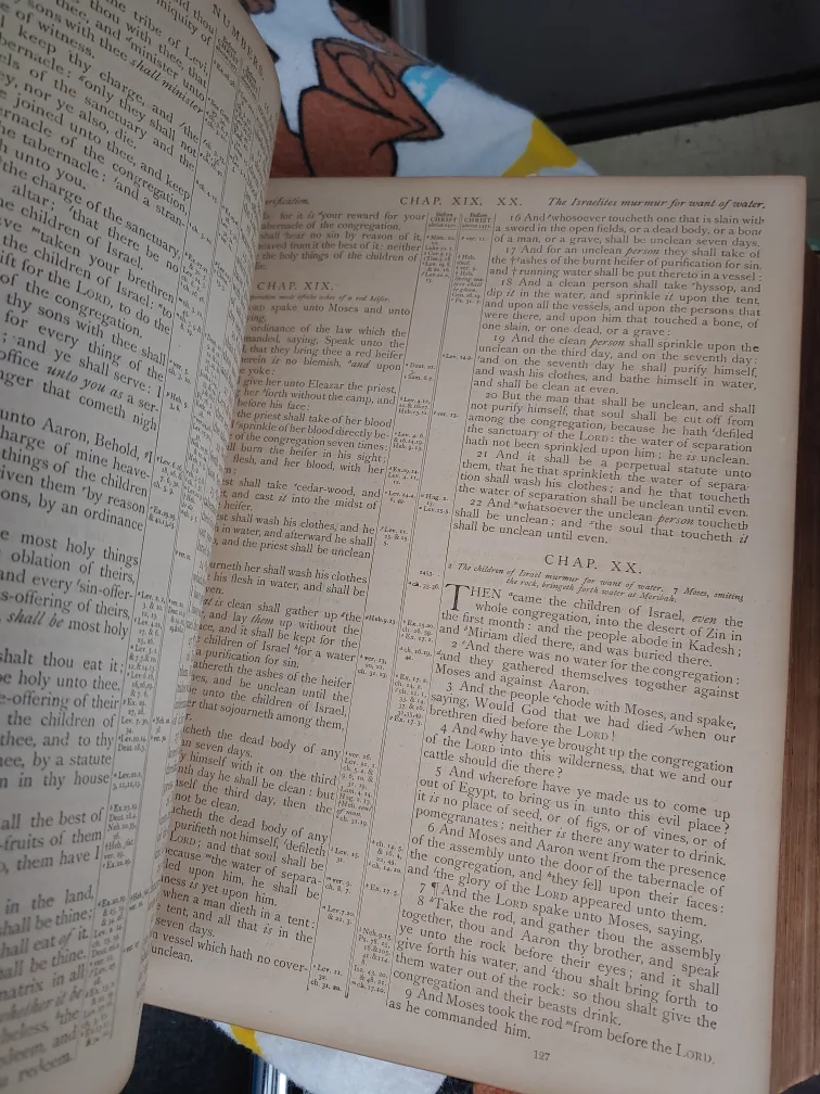 Antique 1881 Holy Bible image indicator(9)