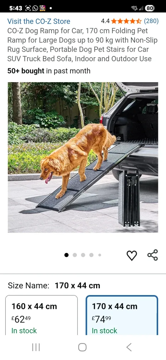 CO-Z Folding Dog Ramp - 170 cm image indicator(2)