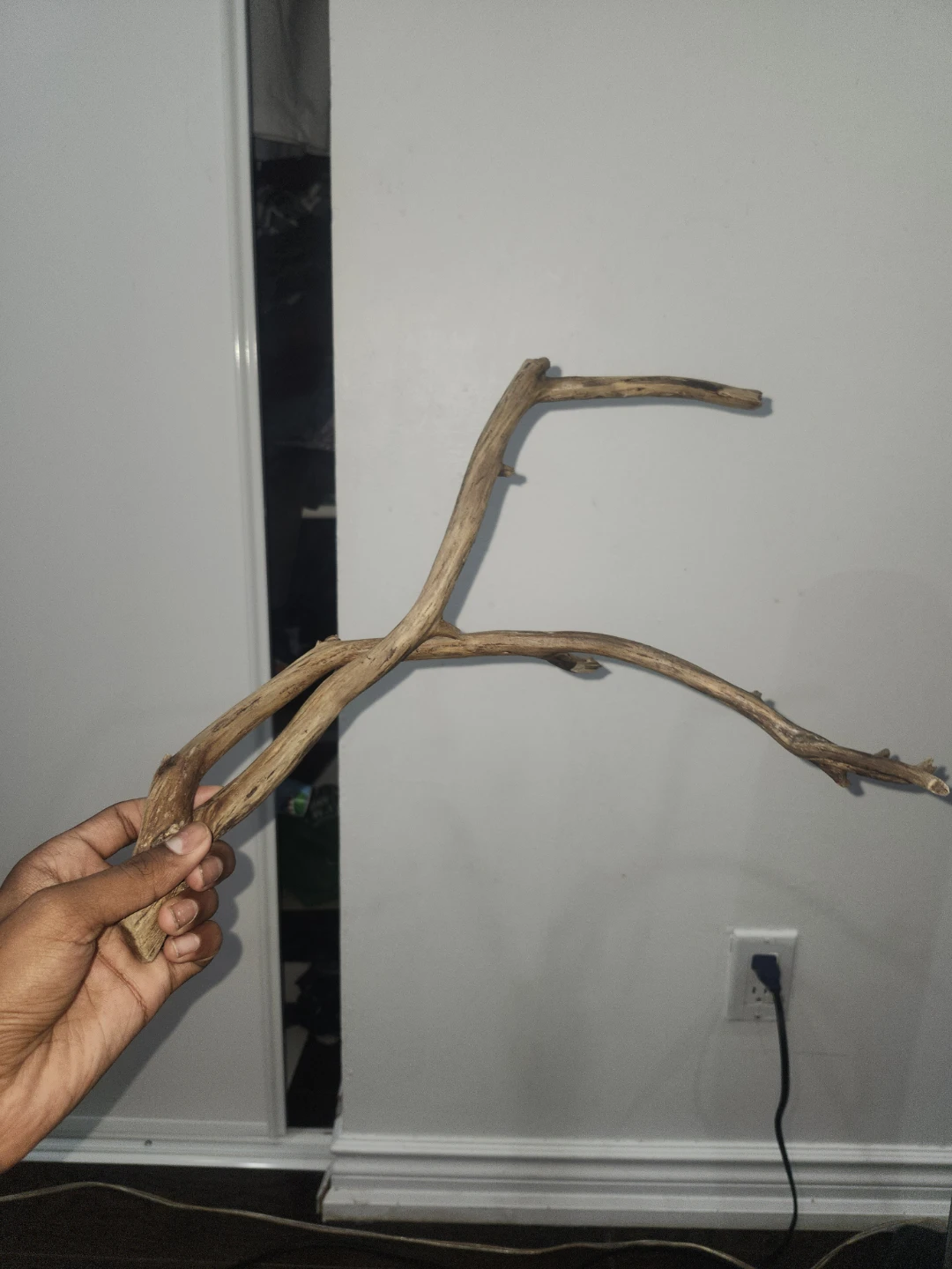 Driftwood Decoration - photo 2