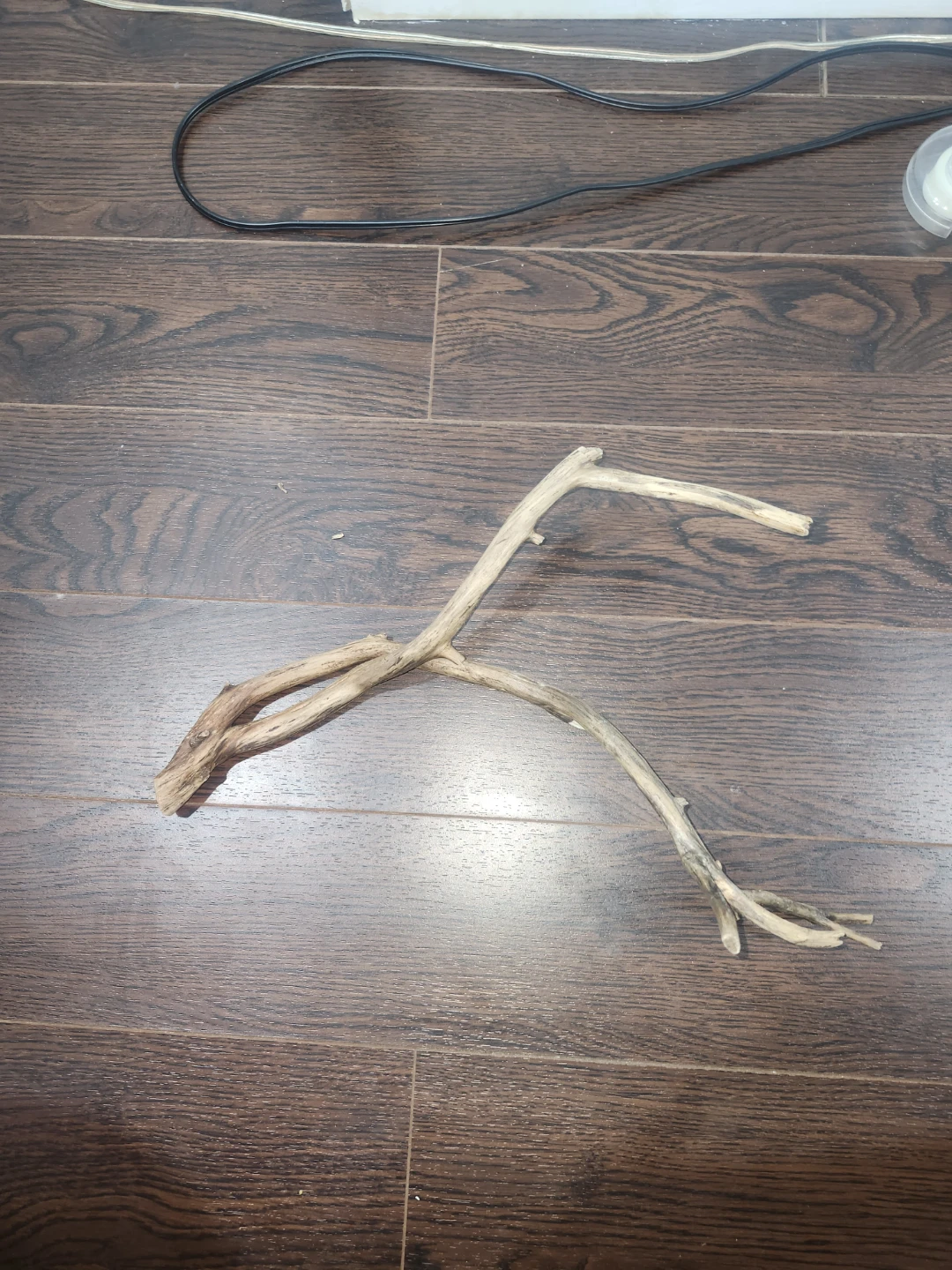 Driftwood Decoration - photo 3