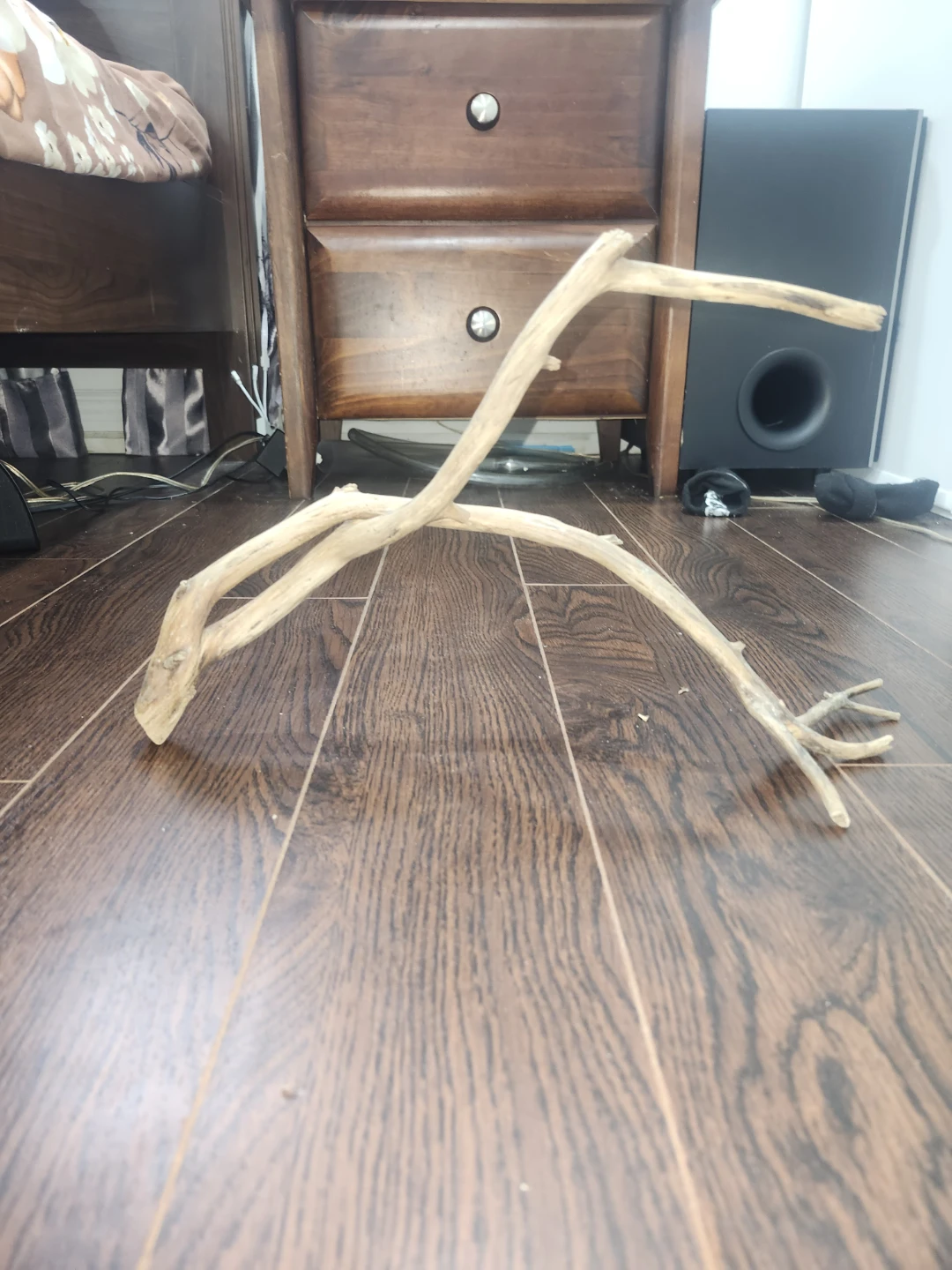 Driftwood Decoration - photo 4