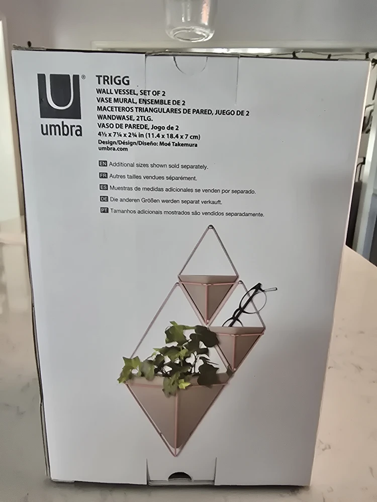 Umbra Trigg Wall Vessel - Set of 2 - photo 2