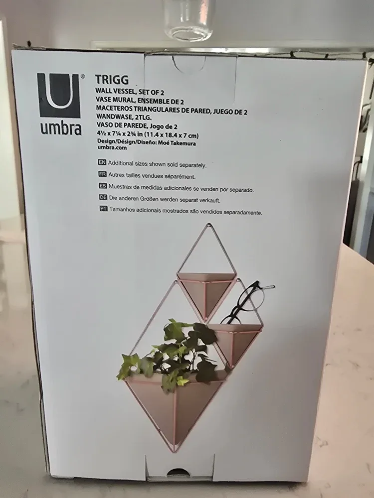 Umbra Trigg Wall Vessel - Set of 2 image indicator(2)