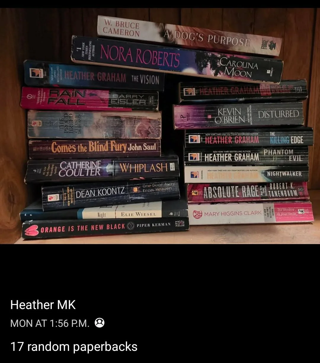 Lot of 17 Paperback Books