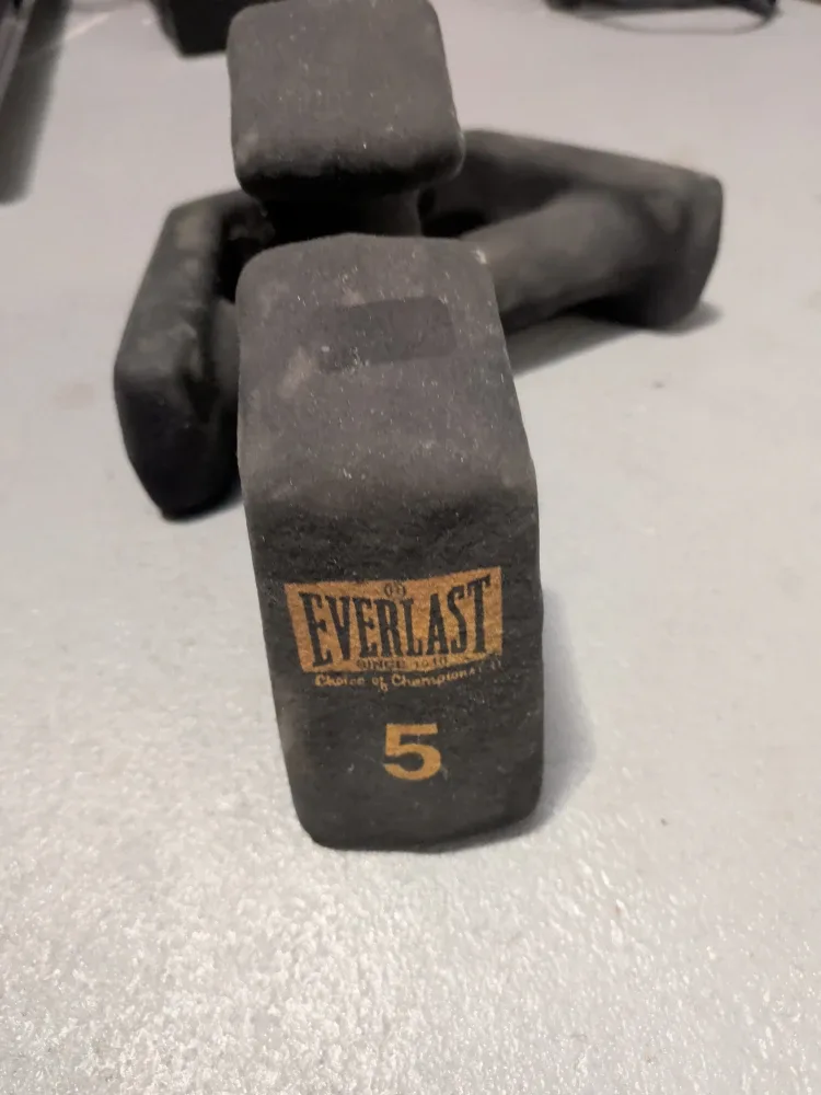 Everlast 5 lb Dumbbells image indicator(3)
