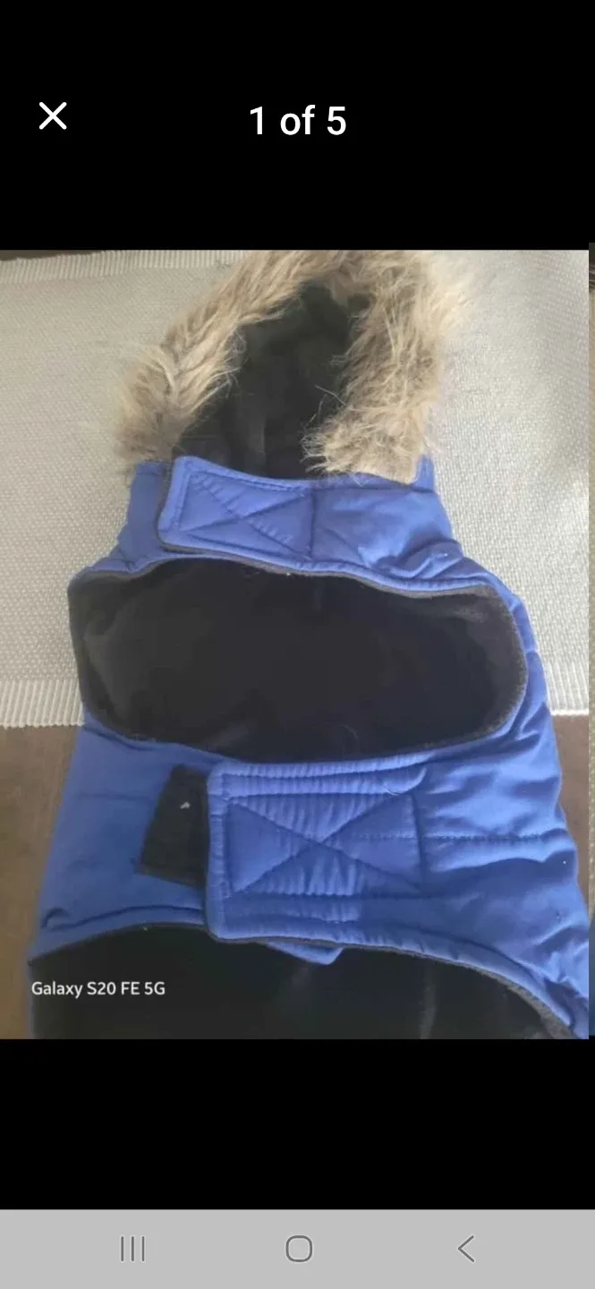 Blue Dog Winter Coat with Fur Hood image indicator(2)