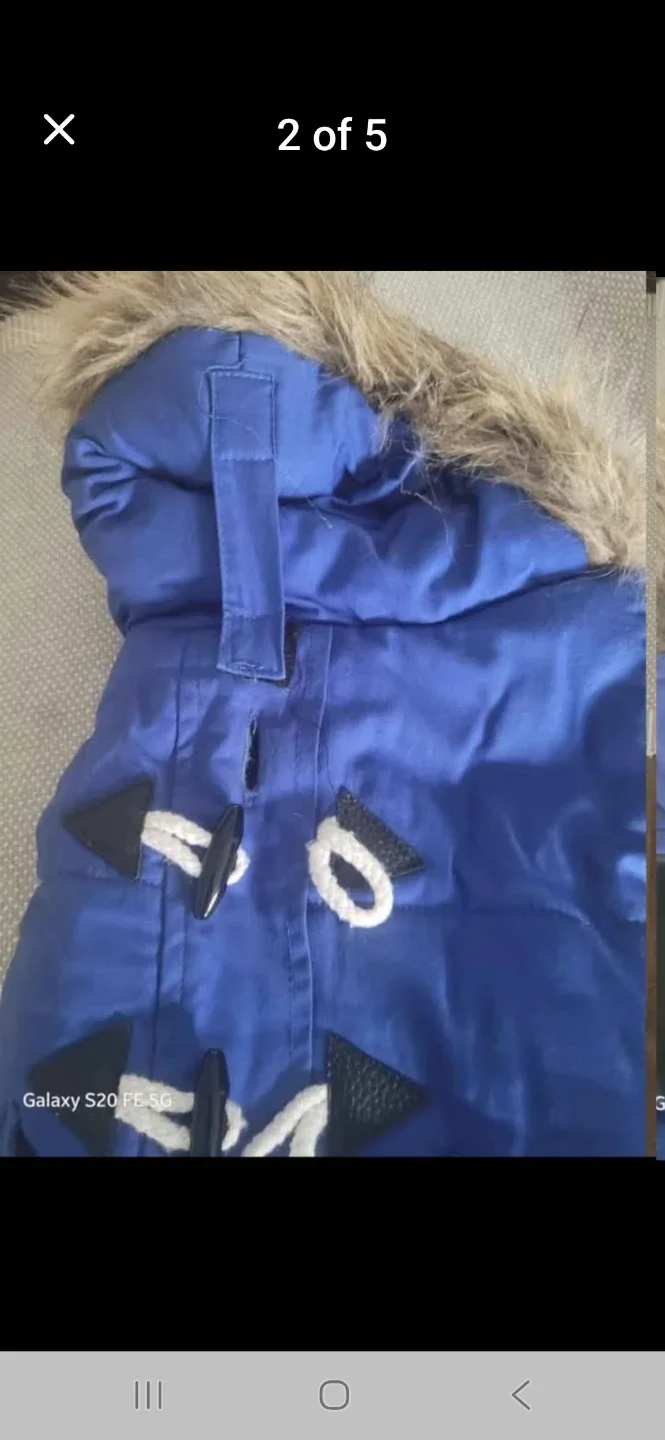 Blue Dog Winter Coat with Fur Hood image indicator(3)