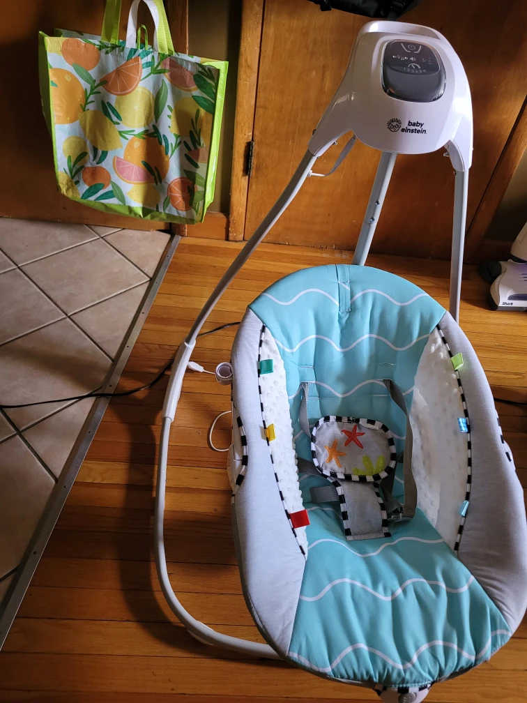 Baby Einstein Swing - photo 3