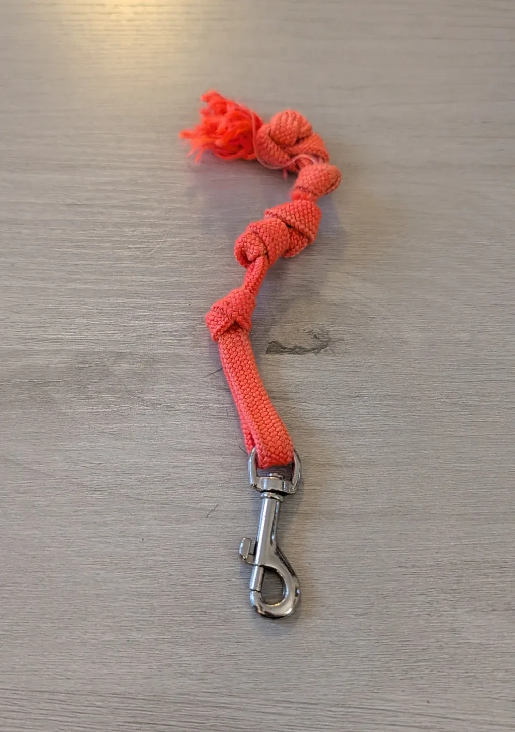 Orange Keychain with Clip