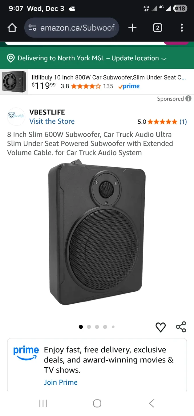 VBestlife Auto Power F100-2 Subwoofer