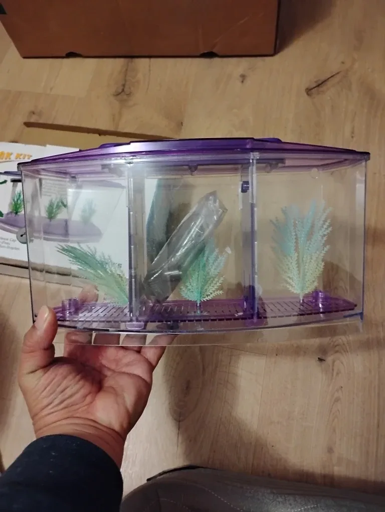 Veny's 3 Tank Kit Betta Bow-Front image indicator(5)