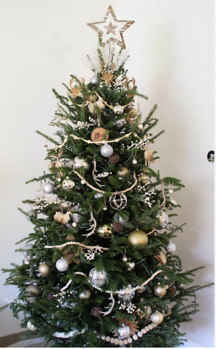 Fresh New Christmas Trees all sizes (With free Delivery) - photo 4