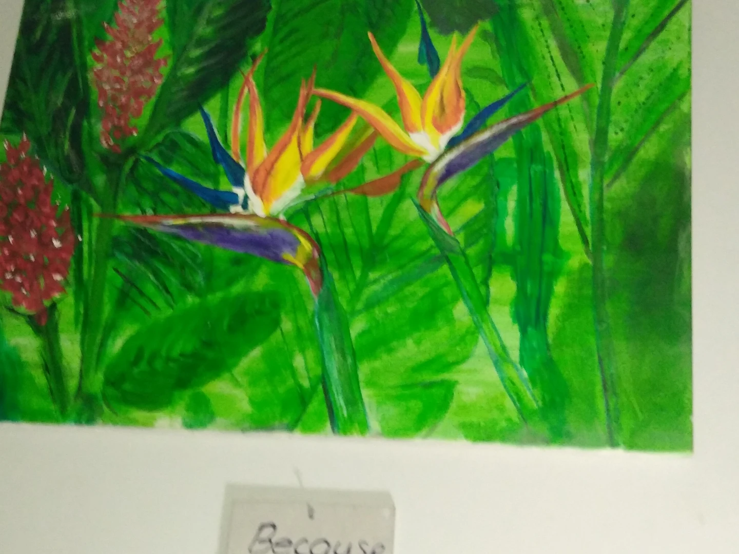 Bird of paradise and red ginger