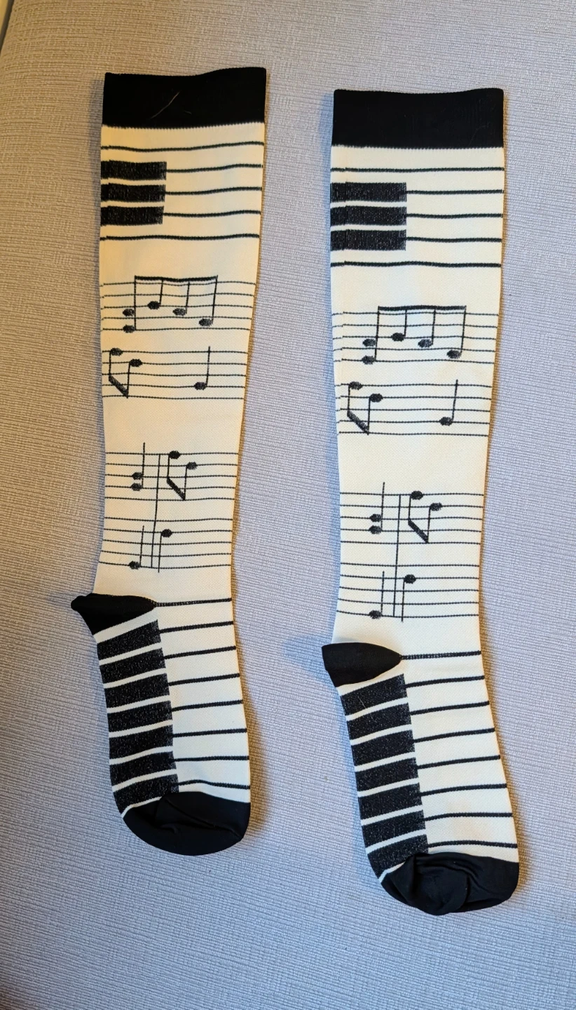Brand New Music Note Socks (One Size)
