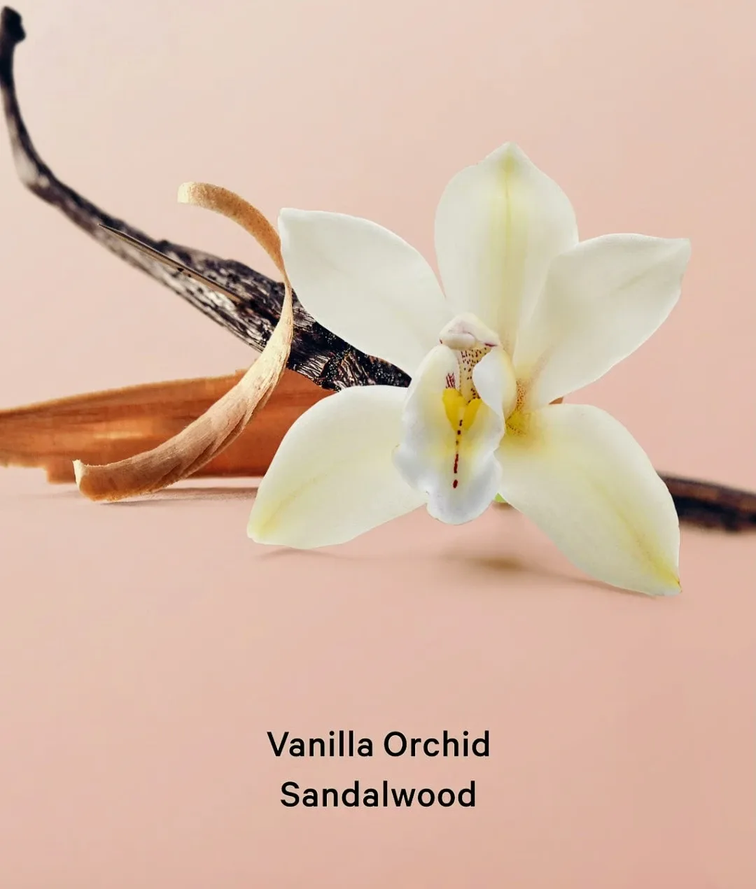 Victoria's Secret Vanilla Orchid Sandalwood Hair & Body Mist image indicator(2)