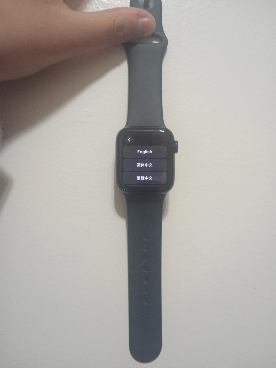 Apple Watch