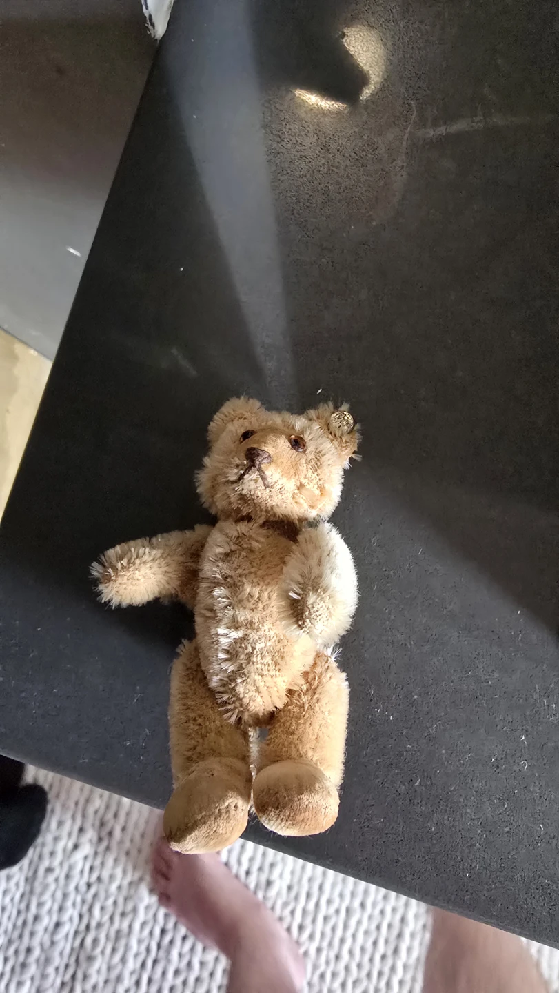 Vintage Steiff Mohair Teddy Bear