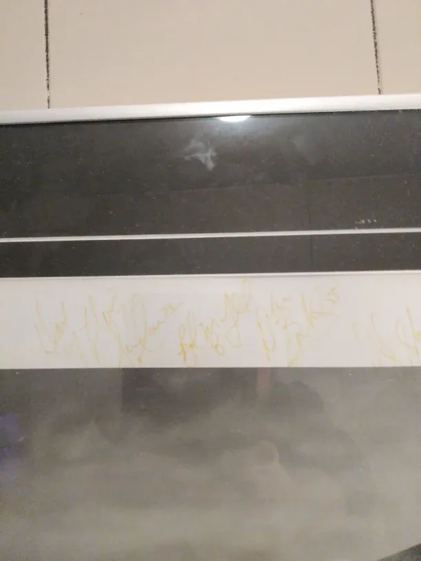 Toronto Maple Leafs Framed Picture image indicator(8)