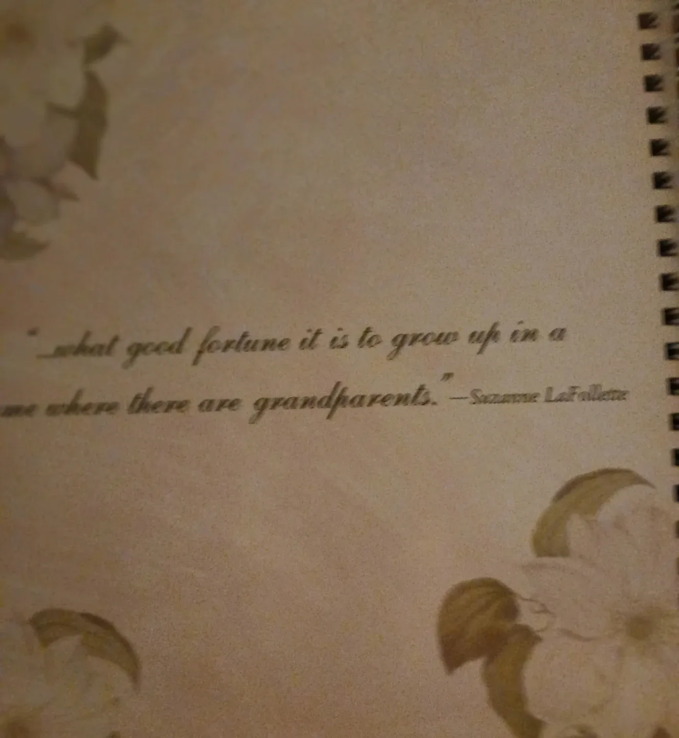 My Grandchildren Memory Keepsake Book image indicator(6)