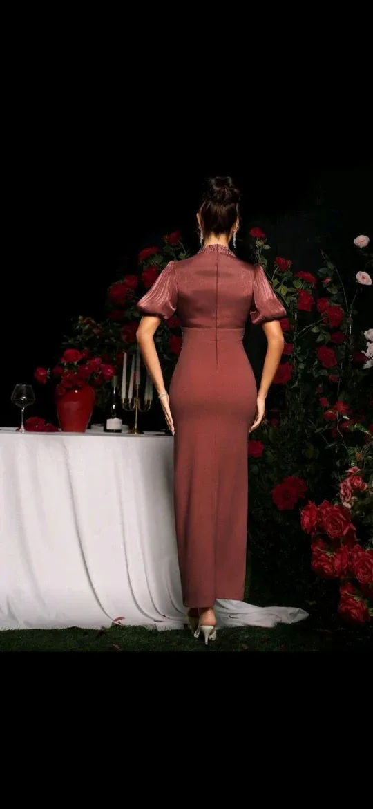 Partty dress image indicator(2)