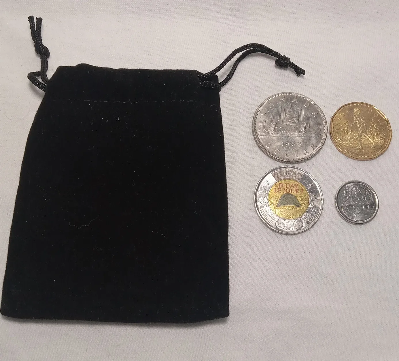 Canadian Collectible Coins with Coin Bag