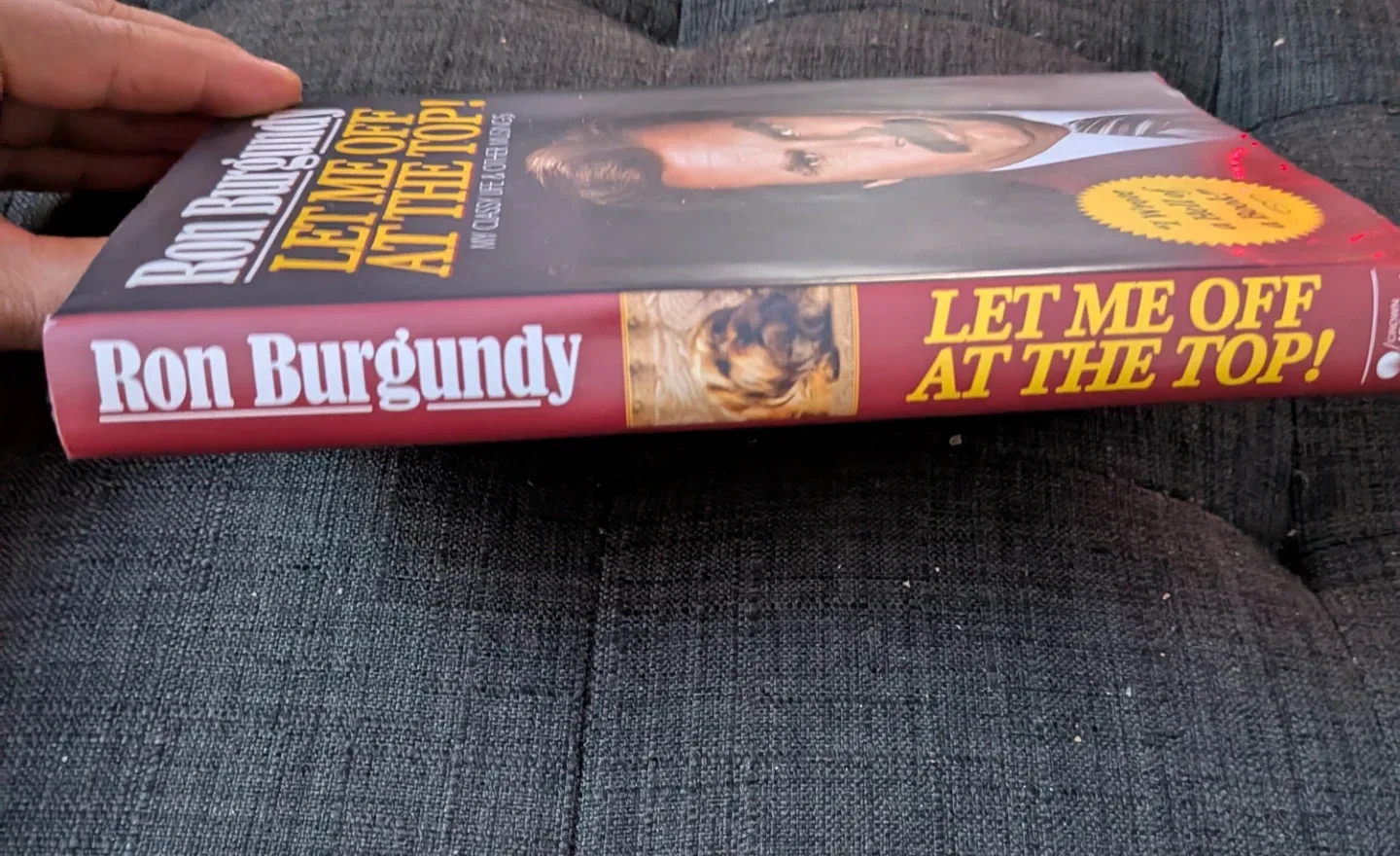 Ron Burgundy - Let Me Off at the Top! Book image indicator(4)