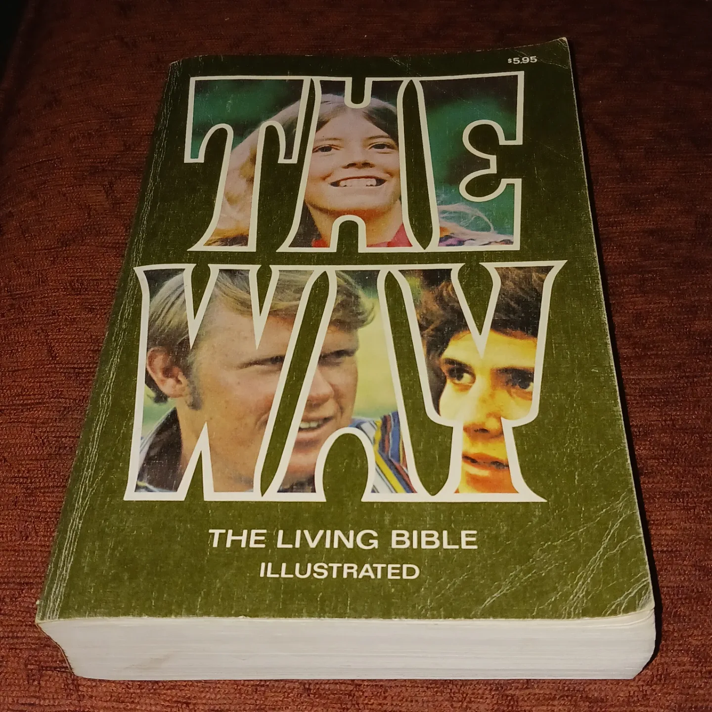 The Way: The Living Bible Illustrated