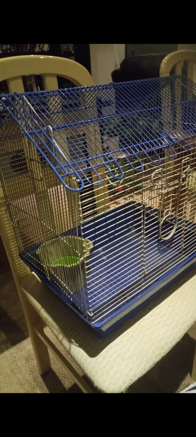 Blue hamster Cage