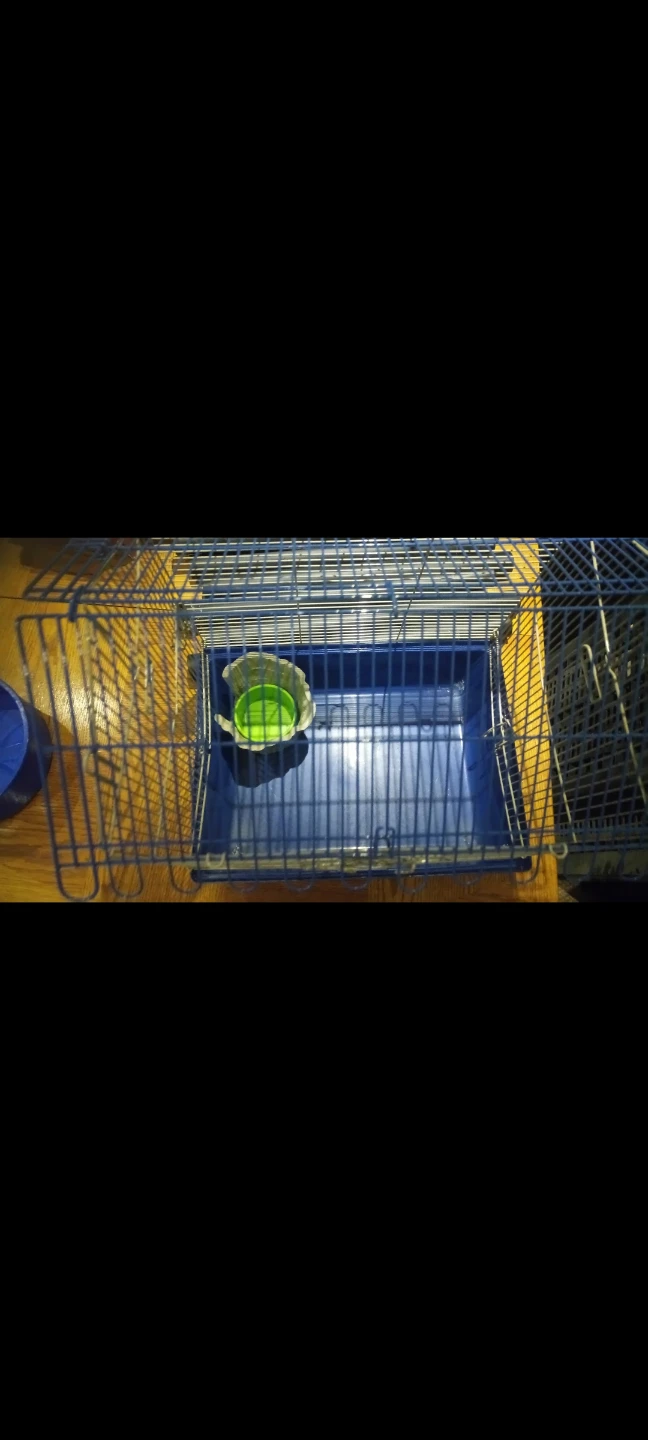 Blue hamster Cage - photo 3