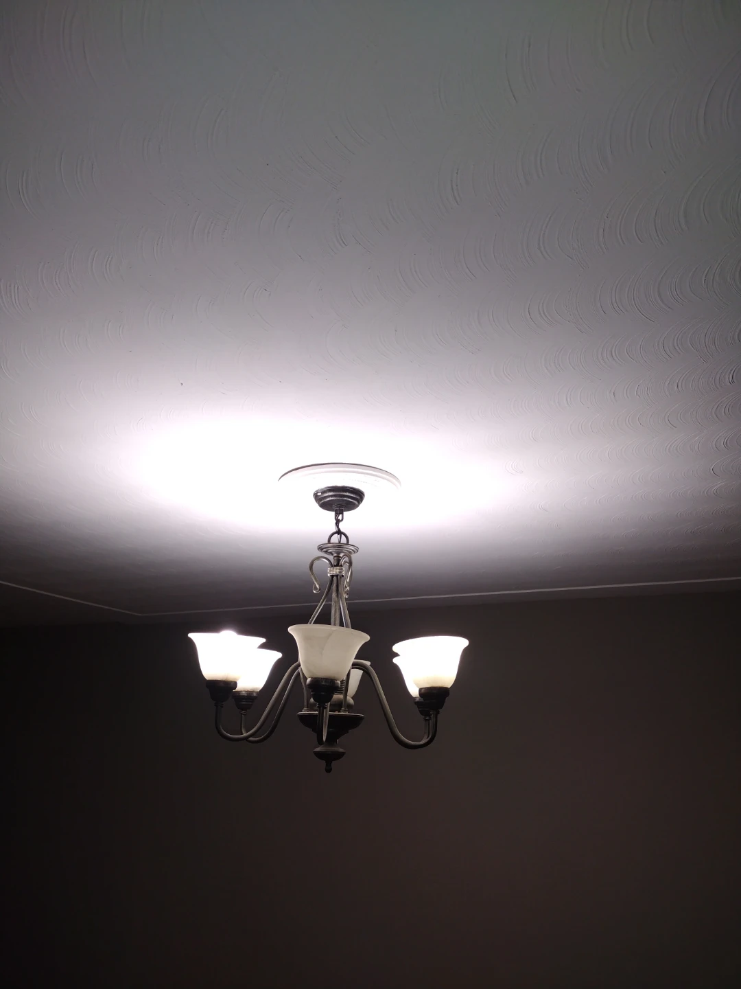 Ceiling light fixture