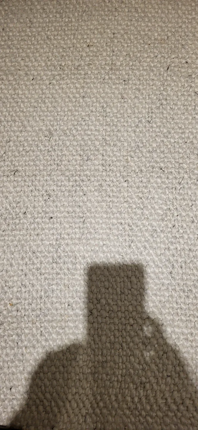 Article Texa Rug - 70% Wool & 30% Rayon