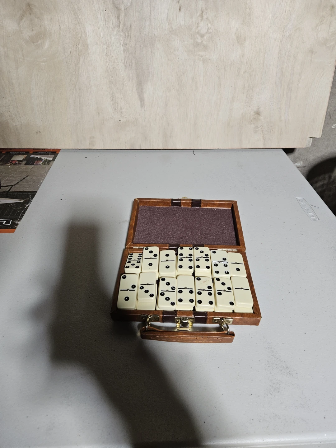Vintage Dominoes Set in Case
