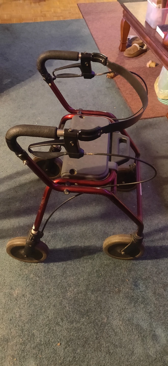 Red Four-Wheel Walker - photo 2