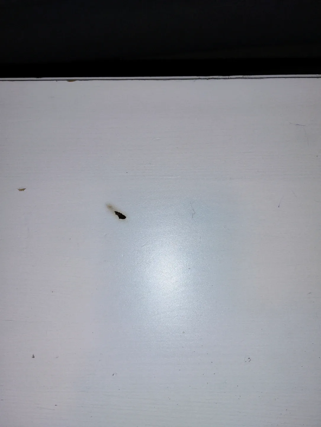 IKEA HAVSTA White Coffee Table - 39 3/8x29 1/2" image indicator(6)