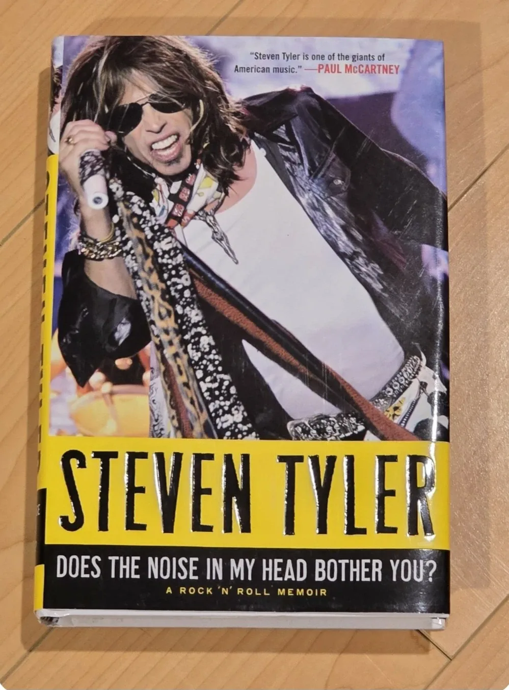 Steven Tyler Memoir: Does the Noise in My Head Bother You?