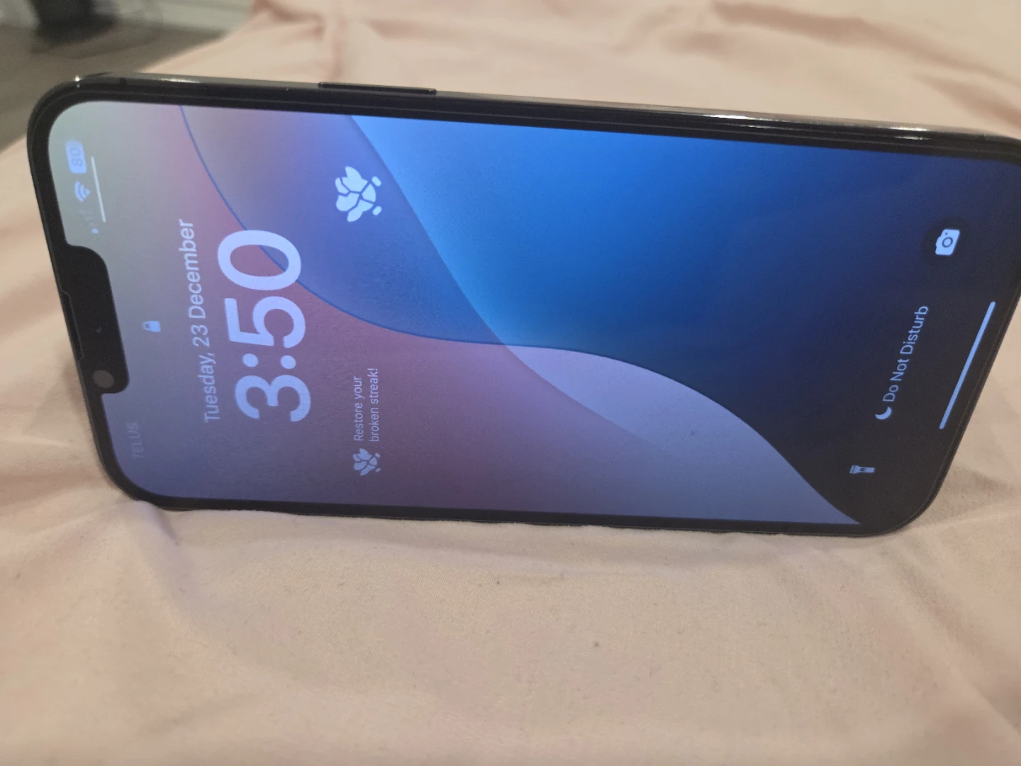 iPhone 13 Pro Max  256 GB - photo 3
