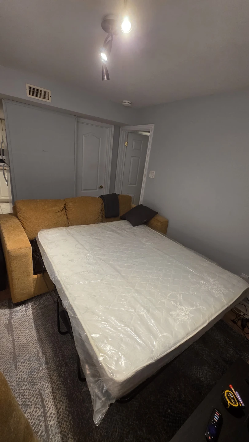 Pull-out Sofa Bed - Great Condition!