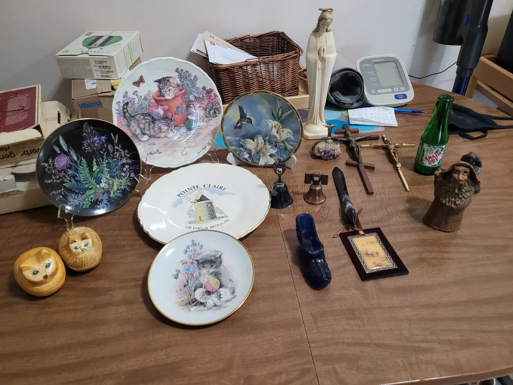 Cleanout image indicator(2)