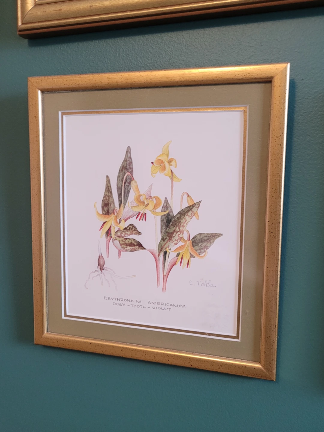 Set of 6 Vintage Framed Art Prints - photo 5
