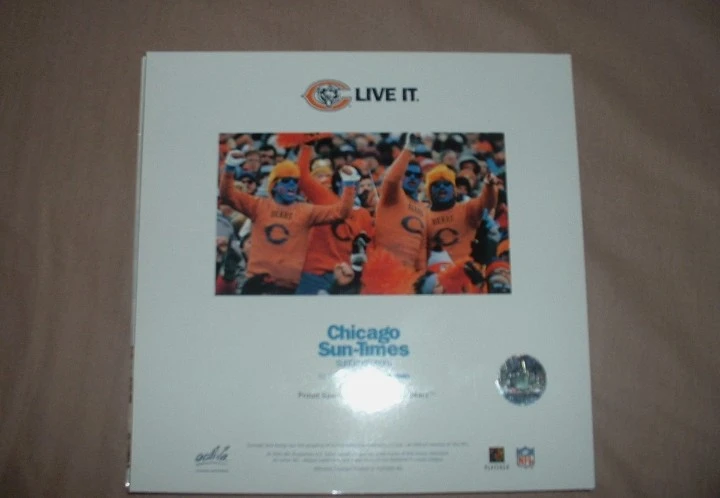 Chicago Bears 2003 Medallion Collection 25 Piece Set - photo 4