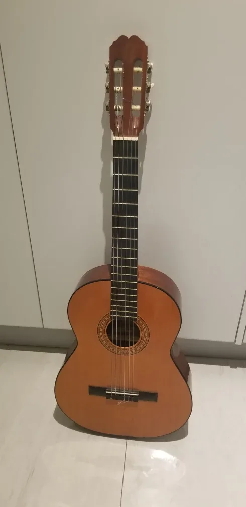 Alhambra Paloma Guitar image indicator(5)