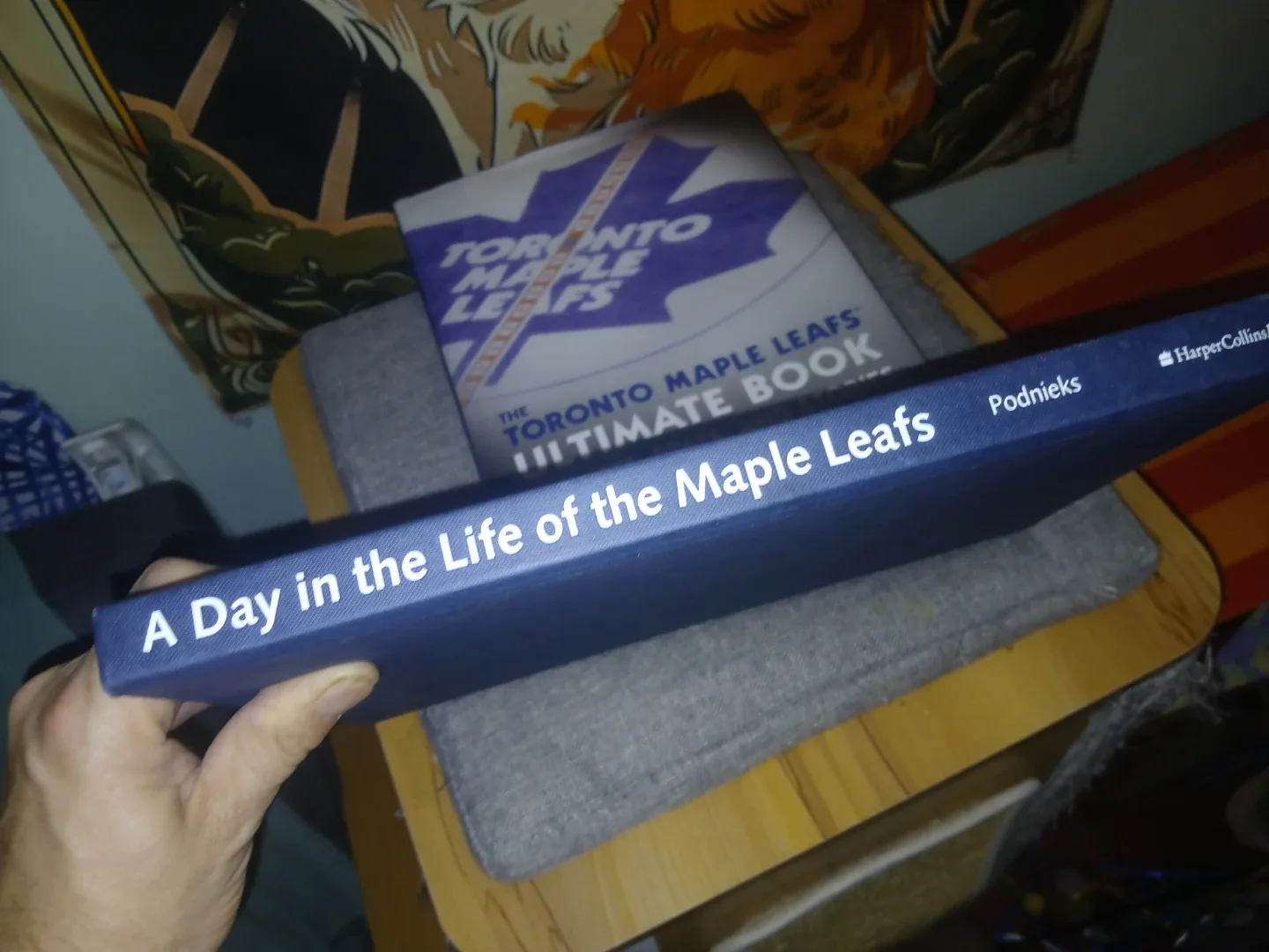 A Day in the Life of the Maple Leafs Book