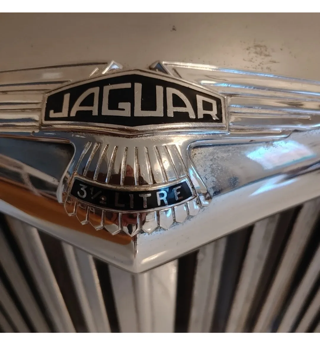 Jaguar 1951 Mark V - 3 1/2 Litre Grille image indicator(5)