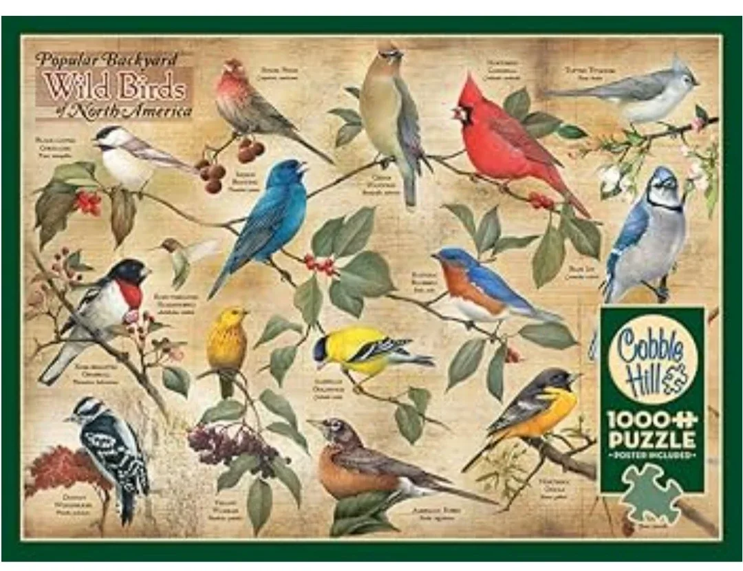 Cobble Hill 1000+ Piece Wild Birds Puzzle #cleanout